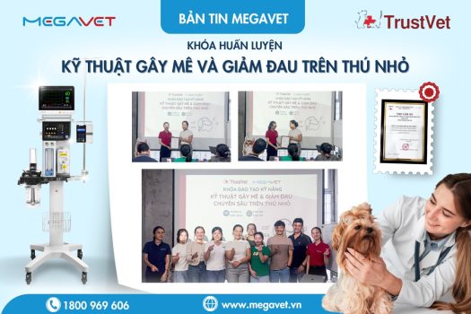 KHÓA HUẤN LUYỆN “KỸ THUẬT GÂY MÊ & GIẢM ĐAU CHUYÊN SÂU TRÊN THÚ NHỎ”