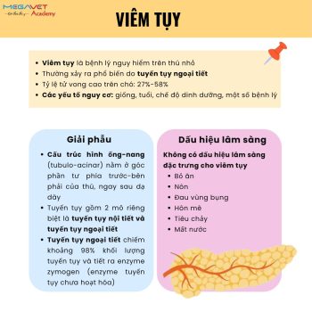 VIÊM TỤY: CHẨN ĐOÁN VÀ PHÂN BIỆT TRÊN CHÓ VÀ MÈO