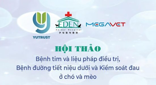 HỘI THẢO BỆNH TIM VÀ LIỆU PHÁP ĐIỀU TRỊ, BỆNH ĐƯỜNG TIẾT NIỆU DƯỚI VÀ KIỂM SOÁT ĐAU Ở CHÓ VÀ MÈO