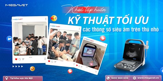 KHÓA TẬP HUẤN “KỸ THUẬT TỐI ƯU CÁC THÔNG SỐ SIÊU ÂM TRÊN THÚ NHỎ” TẠI HÀ NỘI