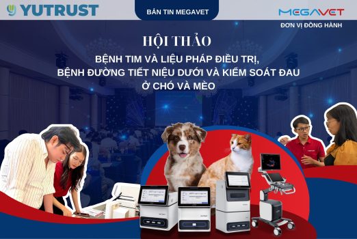 HỘI THẢO “BỆNH TIM VÀ LIỆU PHÁP ĐIỀU TRỊ, BỆNH ĐƯỜNG TIẾT NIỆU DƯỚI VÀ KIỂM SOÁT ĐAU Ở CHÓ MÈO”