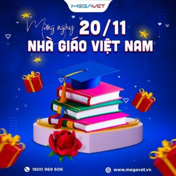 CHÀO MỪNG NGÀY NHÀ GIÁO VIỆT NAM 20/11