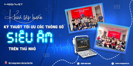 KHÓA TẬP HUẤN “KỸ THUẬT TỐI ƯU CÁC THÔNG SỐ SIÊU ÂM TRÊN THÚ NHỎ”