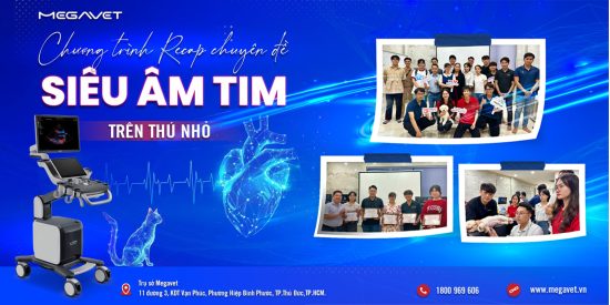 CHƯƠNG TRÌNH RECAP CHUYÊN ĐỀ “SIÊU ÂM TIM TRÊN THÚ NHỎ”