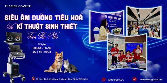 HỘI THẢO CHUYÊN ĐỀ “SIÊU ÂM ĐƯỜNG TIÊU HÓA & KỸ THUẬT SINH THIẾT TRÊN THÚ NHỎ”