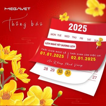 THÔNG BÁO LỊCH NGHỈ TẾT DƯƠNG LỊCH 2025