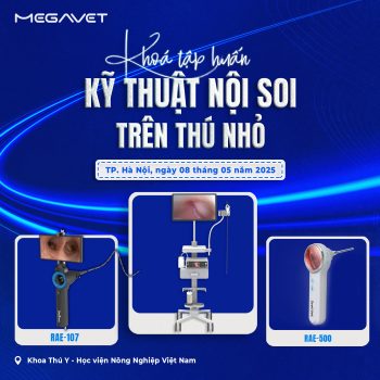 HÀ NỘI – ĐIỂM KHỞI ĐẦU CHO HÀNH TRÌNH CHIA SẺ KIẾN THỨC NỘI SOI TRÊN THÚ NHỎ