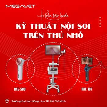 TP. HỒ CHÍ MINH NGÀY 1 – KHÓA TẬP HUẤN “KỸ THUẬT NỘI SOI TRÊN THÚ NHỎ”