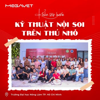 TP. HỒ CHÍ MINH NGÀY 2 – KHÓA TẬP HUẤN “KỸ THUẬT NỘI SOI TRÊN THÚ NHỎ”