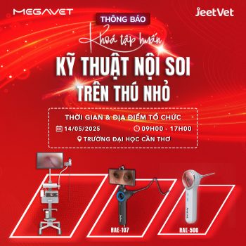 KHÓA TẬP HUẤN “KỸ THUẬT NỘI SOI TRÊN THÚ NHỎ” TẠI TP. CẦN THƠ