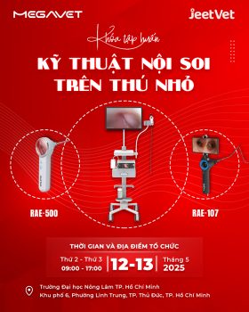KHÓA TẬP HUẤN “KỸ THUẬT NỘI SOI TRÊN THÚ NHỎ” TẠI TP. HỒ CHÍ MINH