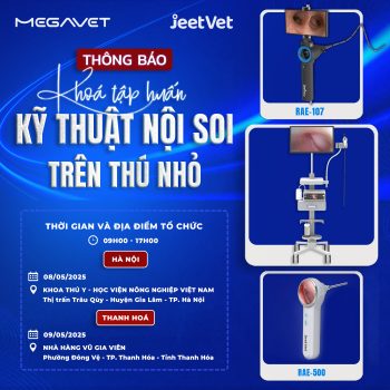 KHÓA TẬP HUẤN “KỸ THUẬT NỘI SOI TRÊN THÚ NHỎ”