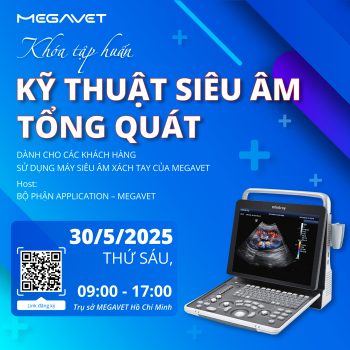 THÔNG BÁO KHÓA TẬP HUẤN “KỸ THUẬT SIÊU ÂM TỔNG QUÁT”