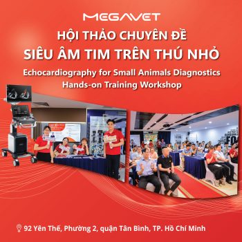 NGÀY 1 – HỘI THẢO CHUYÊN ĐỀ SIÊU ÂM TIM TRÊN THÚ NHỎ