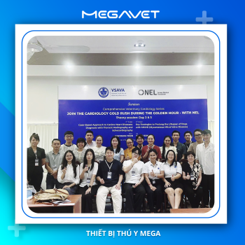 MEGAVET ĐỒNG HÀNH VÀ HỖ TRỢ CÙNG VSAVA