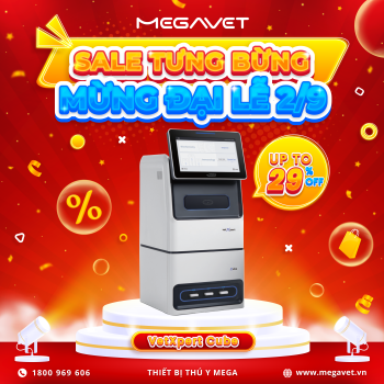 SALE TƯNG BỪNG – MỪNG ĐẠI LỄ QUỐC KHÁNH 2/9