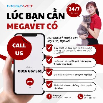HOTLINE KỸ THUẬT 24/7