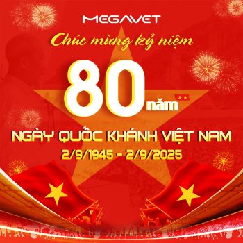 KỶ NIỆM 80 NĂM QUỐC KHÁNH VIỆT NAM