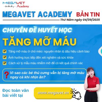 TĂNG MỠ MÁU