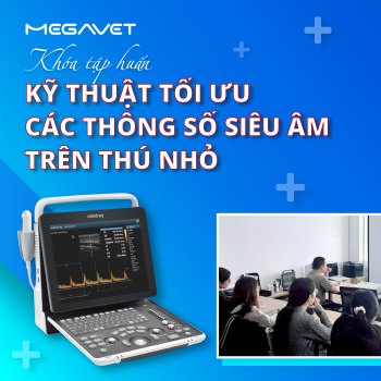 KHÉP LẠI KHÓA TẬP HUẤN “KỸ THUẬT TỐI ƯU CÁC THÔNG SỐ SIÊU ÂM TRÊN THÚ NHỎ” TẠI HÀ NỘI [04-05/11/2025]
