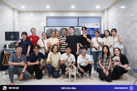 MEGAVET hỗ trợ và đồng tổ chức cùng VSAVA trong buổi đào tạo Siêu âm tim lần 2