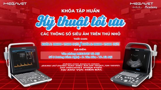 [HÀ NỘI] KHÓA TẬP HUẤN “KỸ THUẬT TỐI ƯU CÁC THÔNG SỐ SIÊU ÂM TRÊN THÚ NHỎ