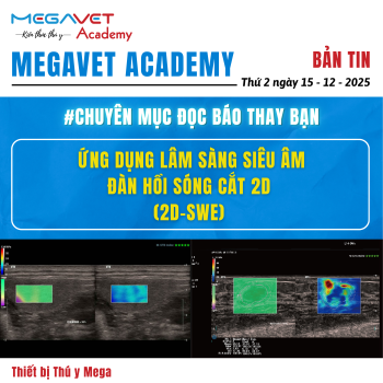 Ứng dụng lâm sàng siêu âm đàn hồi sóng cắt 2D (Two-dimensional shear wave elastography) trên 2 con chó nghi ngờ bị ngộ độc gan