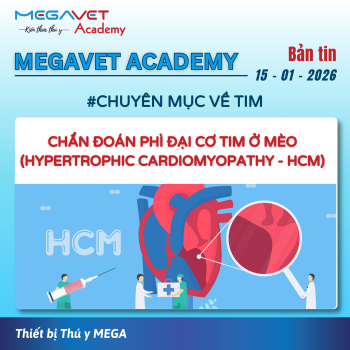 CHẨN ĐOÁN BỆNH PHÌ ĐẠI CƠ TIM TRÊN MÈO (HCM)