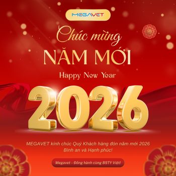 MEGAVET CHÚC MỪNG NĂM MỚI 2026